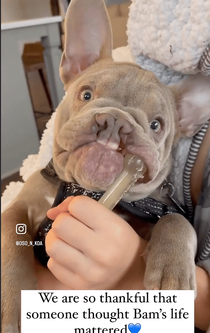 Born With a Cleft Palate, Bammy Wasn’t Expected to Survive—Until a Family Flew Across the Country to Save Him